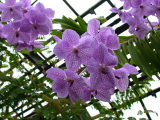 200204281623318