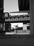 DSCN5413