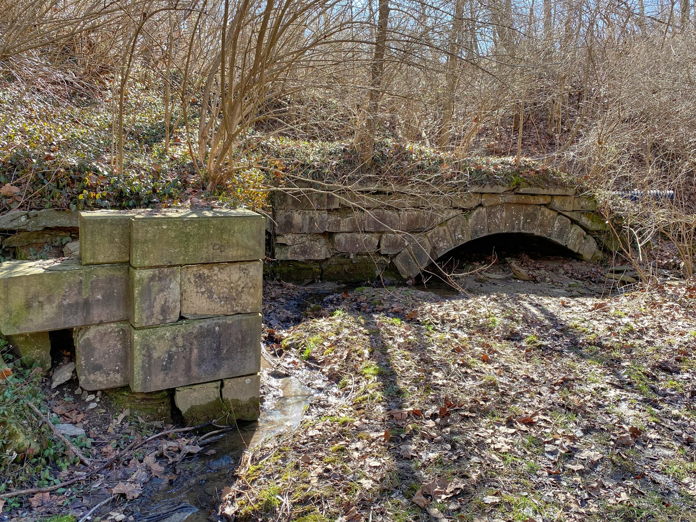 0066_IMG_0116
