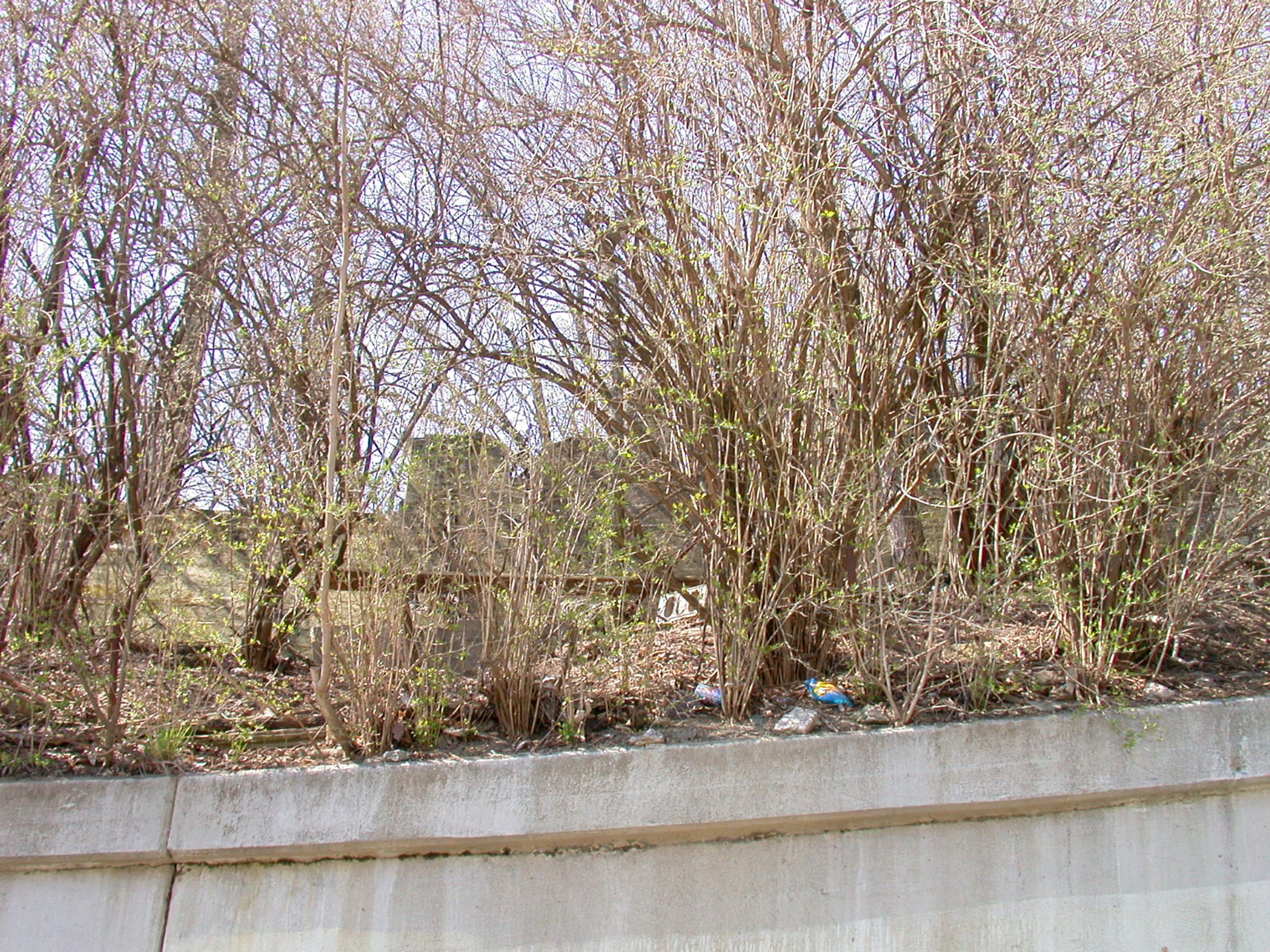 0019_CincinnatiandWestwood-6