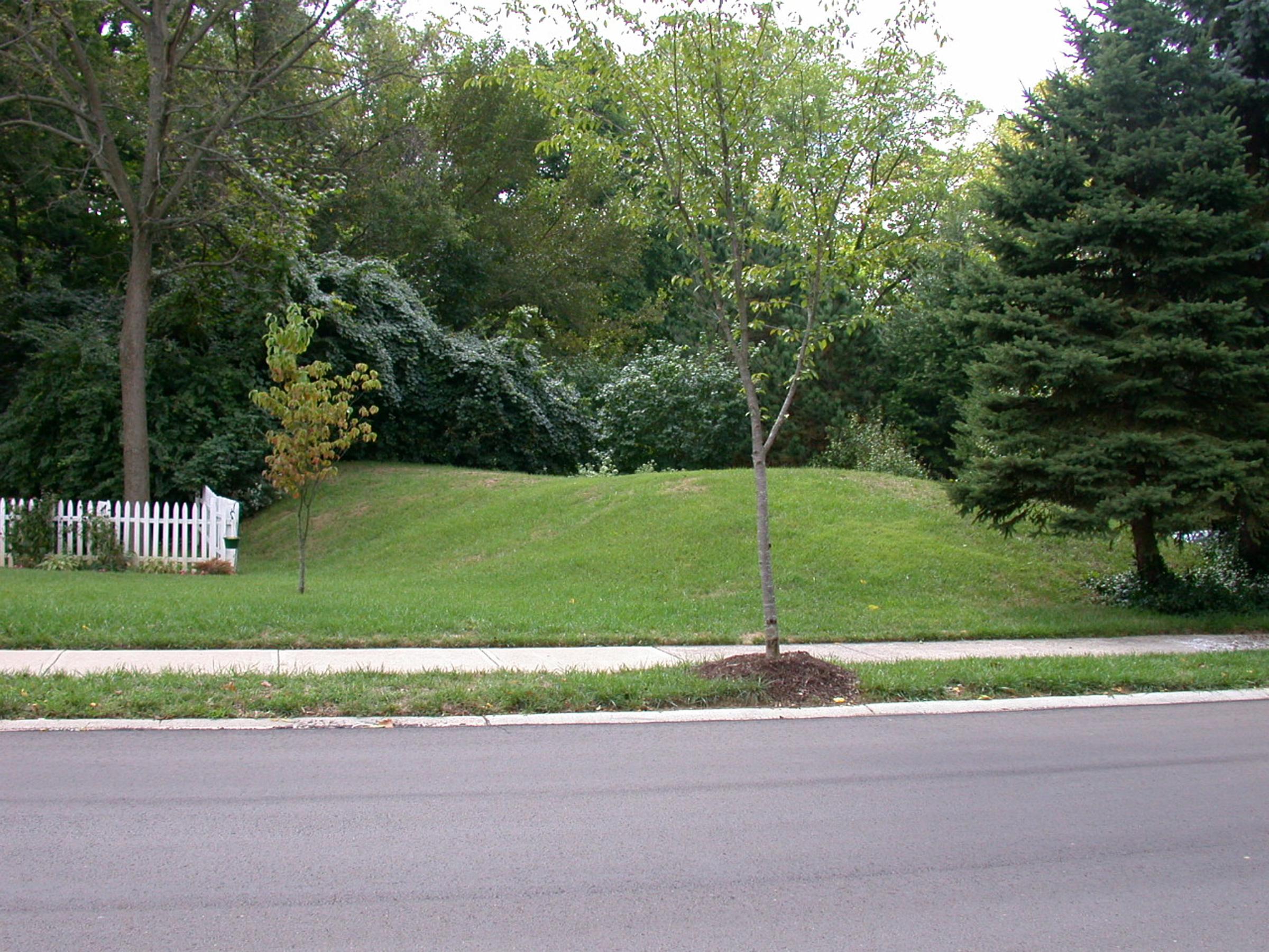 0042_CincinnatiandWestwood-11