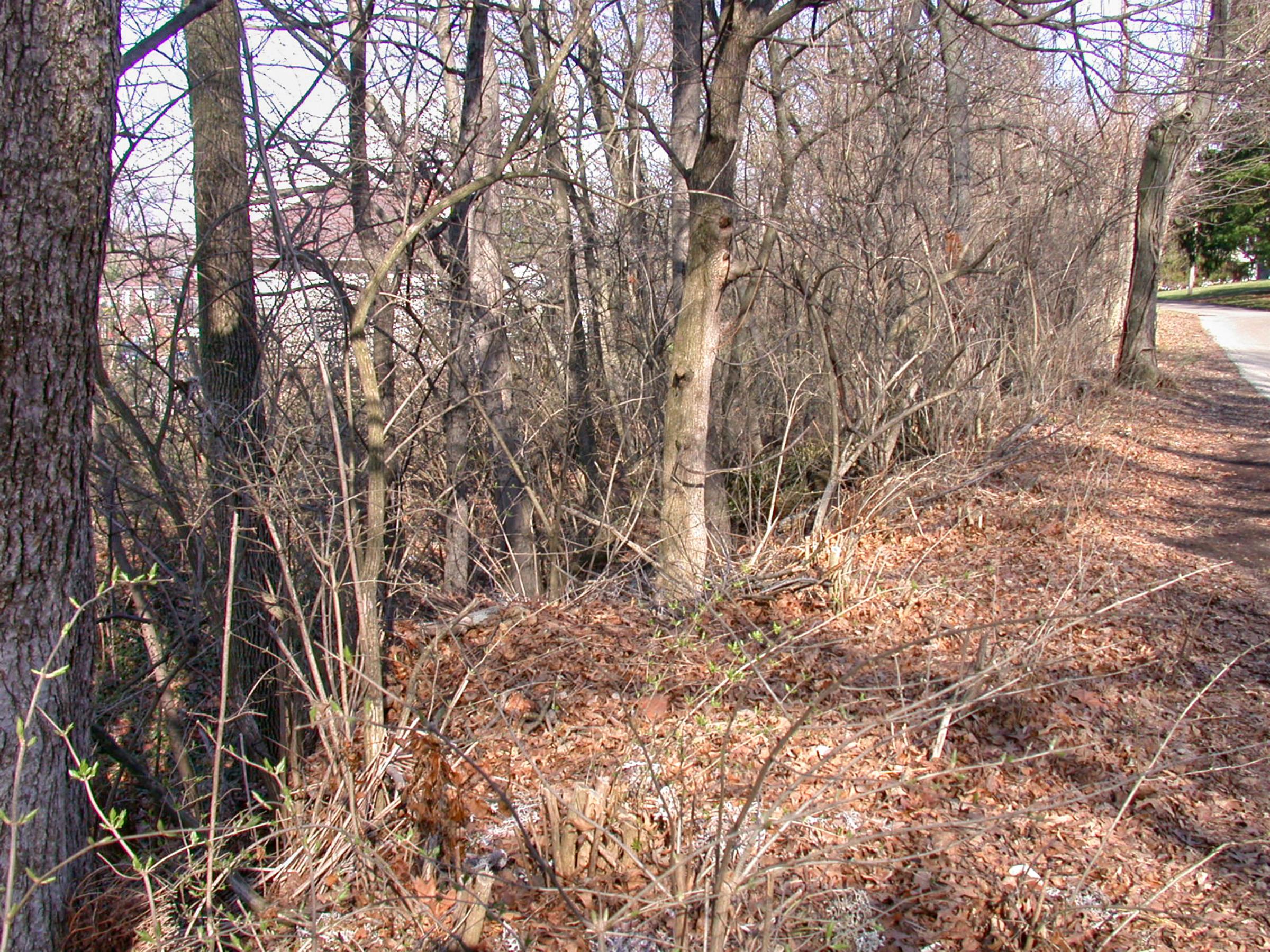 0041_CincinnatiColumbus-12