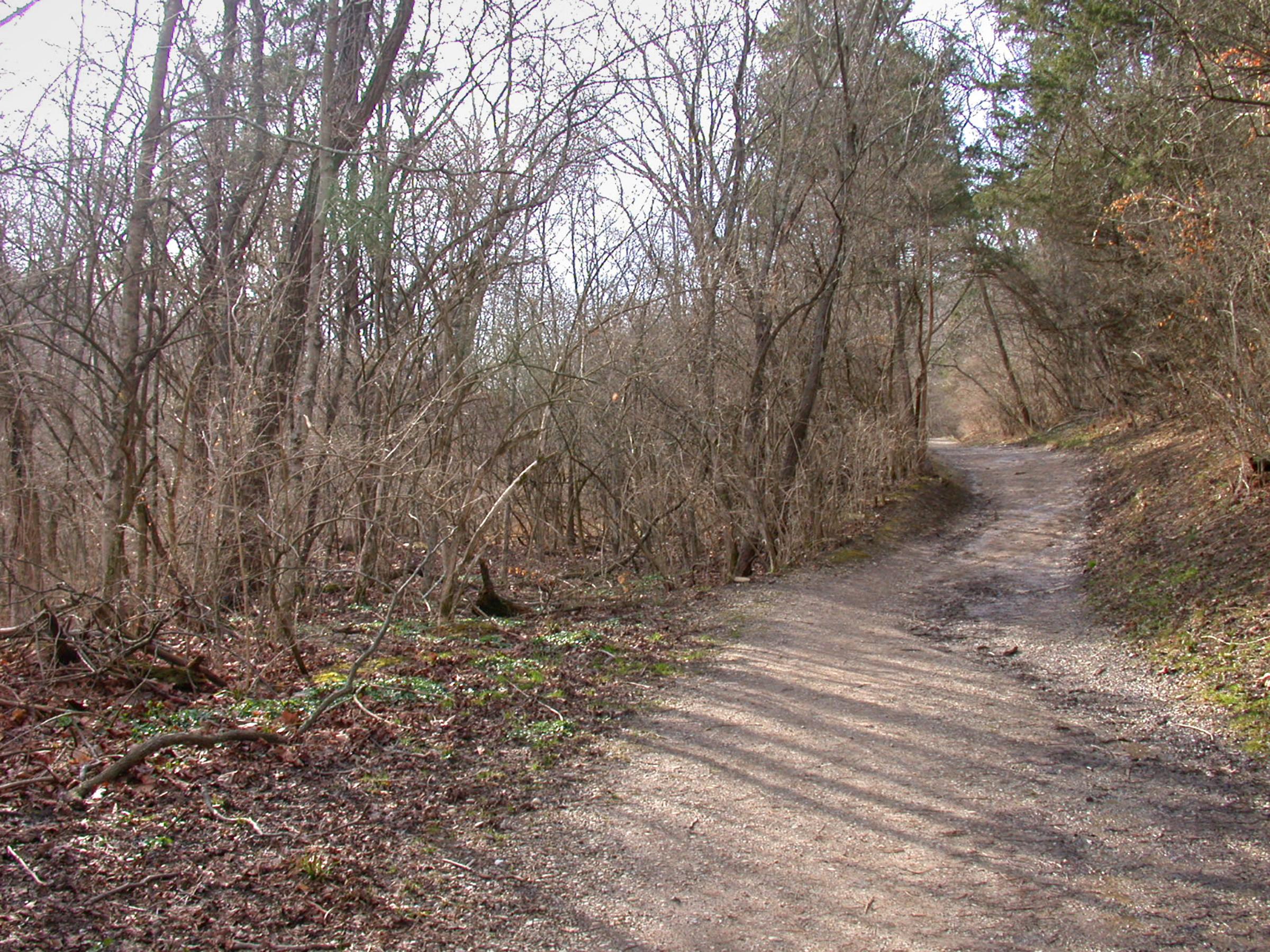 0062_CincinnatiColumbus-30