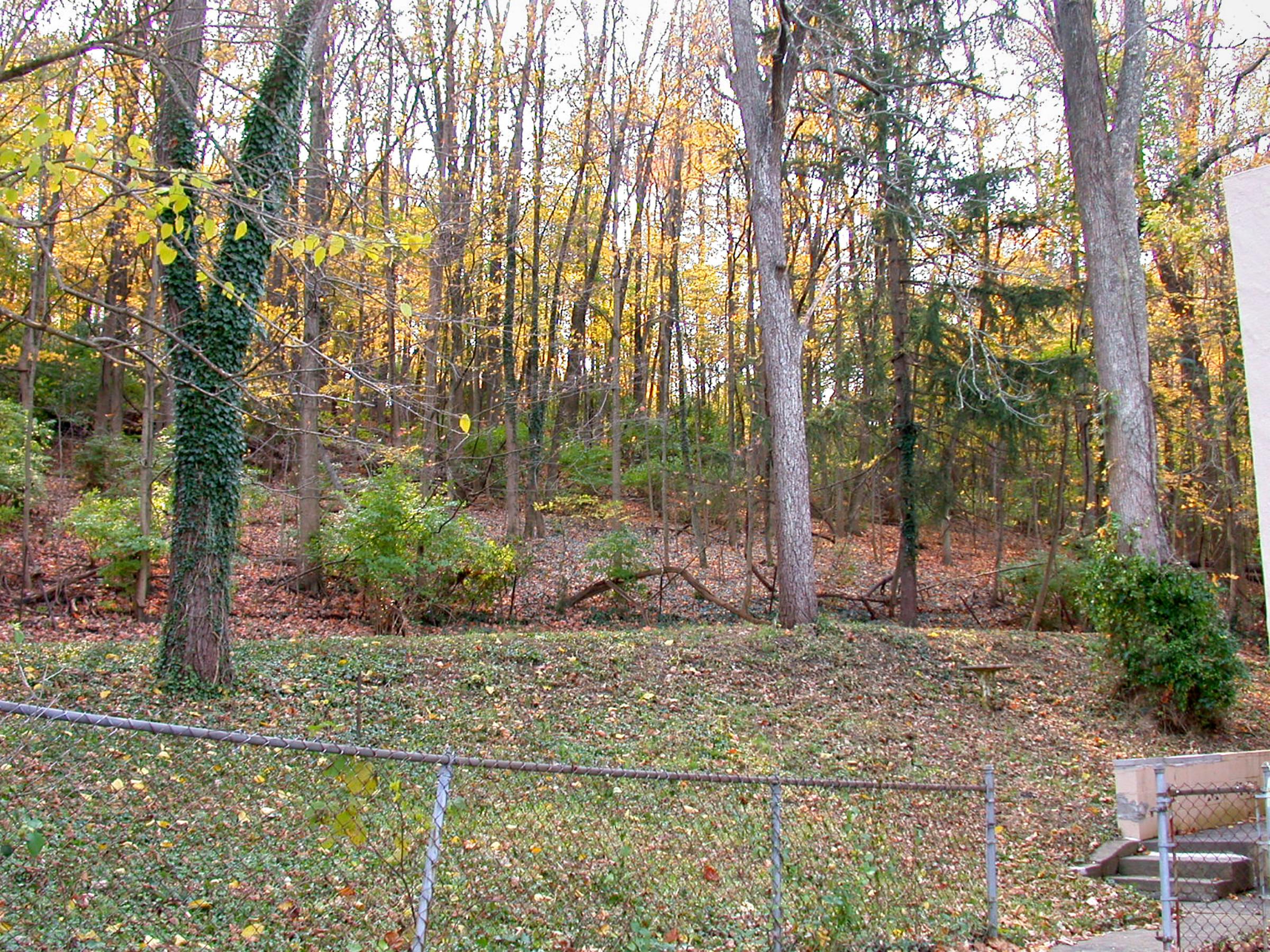 0081_CincinnatiColumbus-43