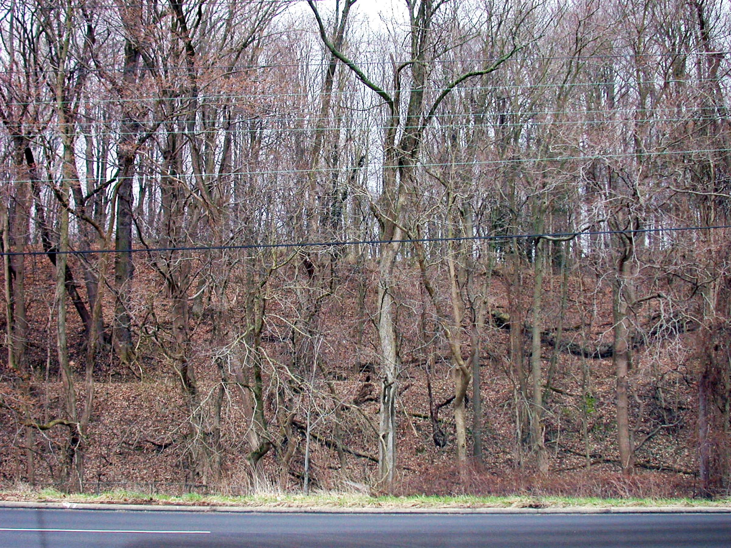 0056_Cincinnati_GeorgetownPortsmouth-9