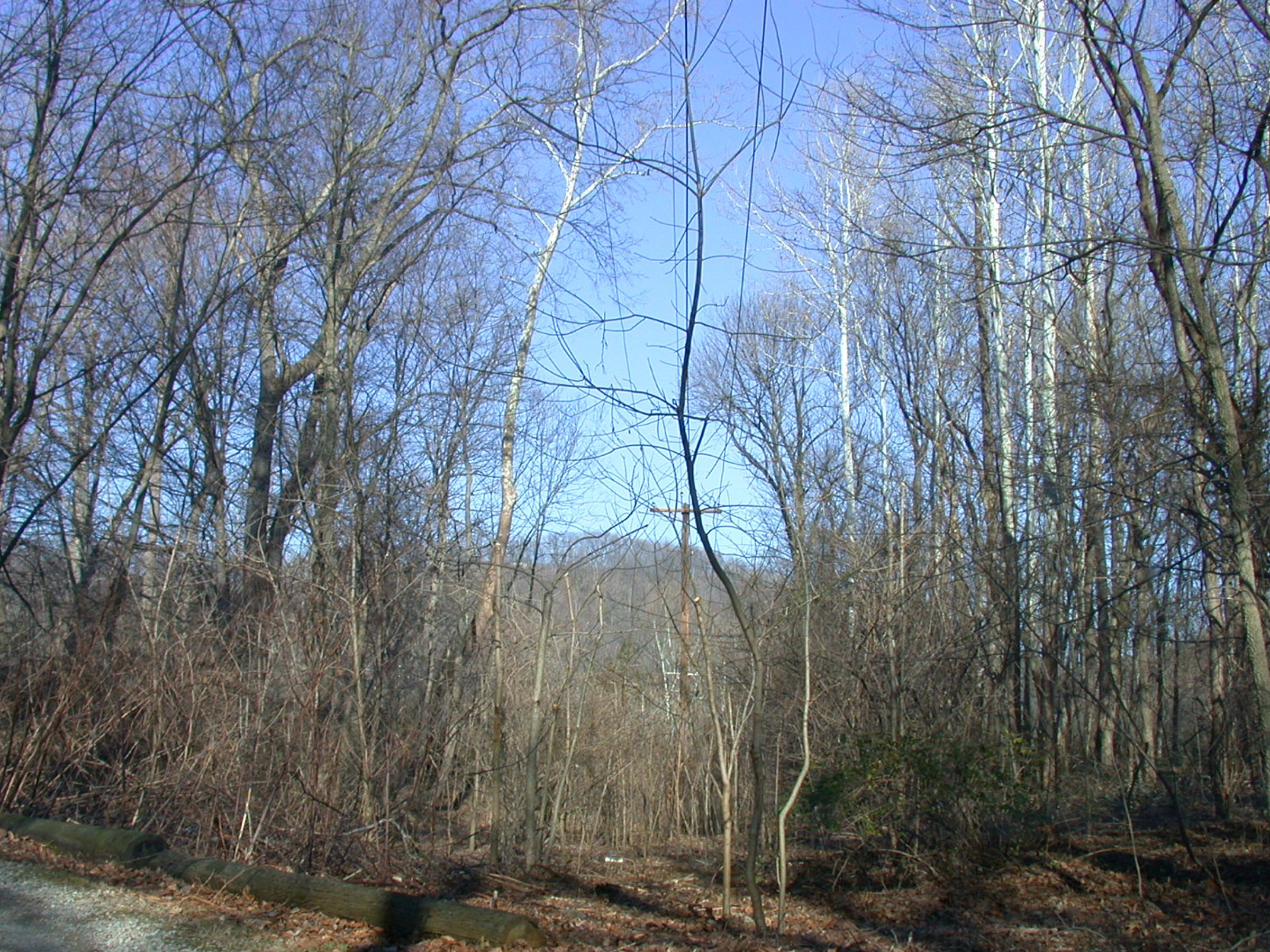 0025_Cincinnati_LawrenceburgAurora-2(2)