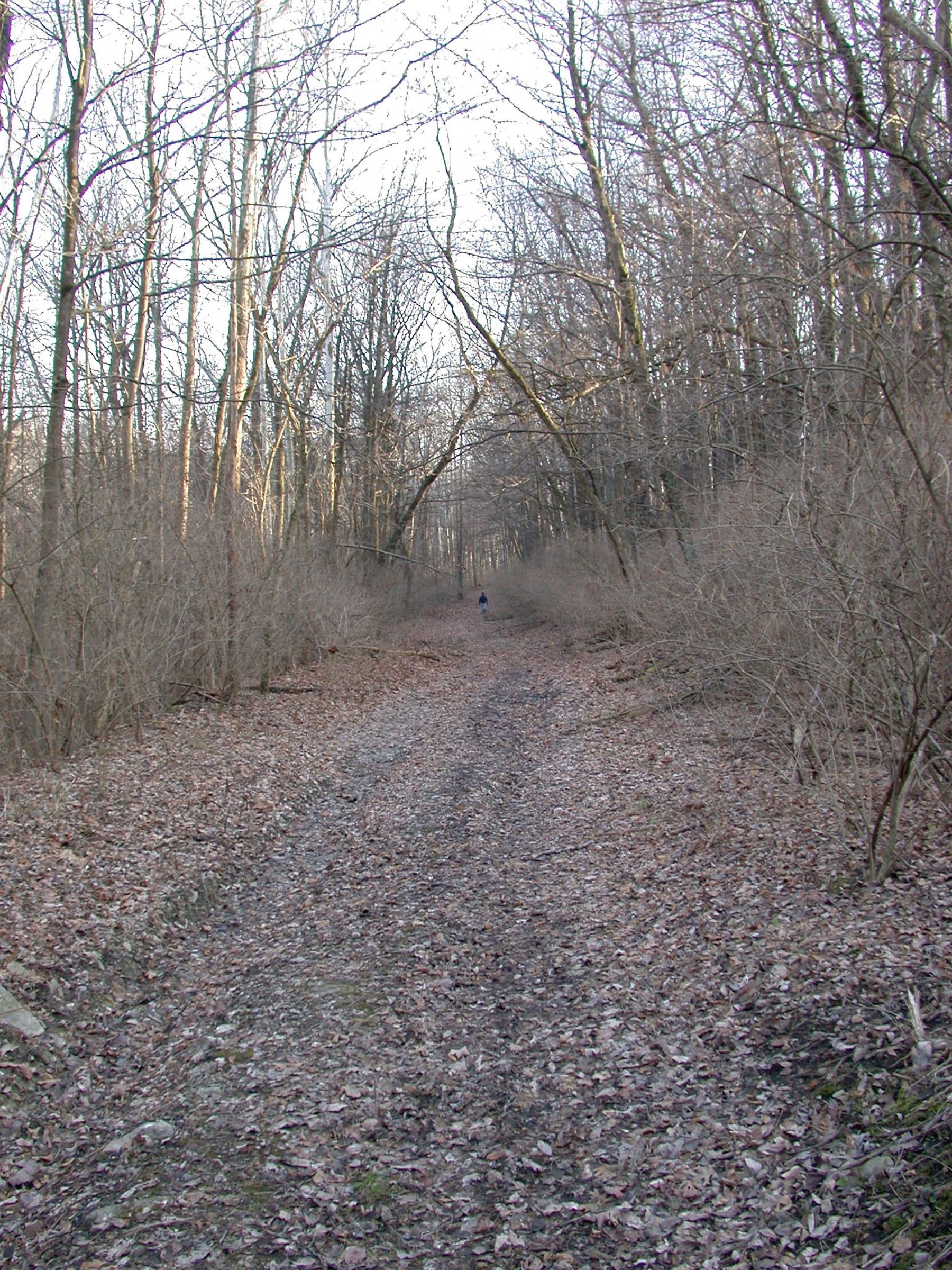 0010_CincinnatiLakeErie-5