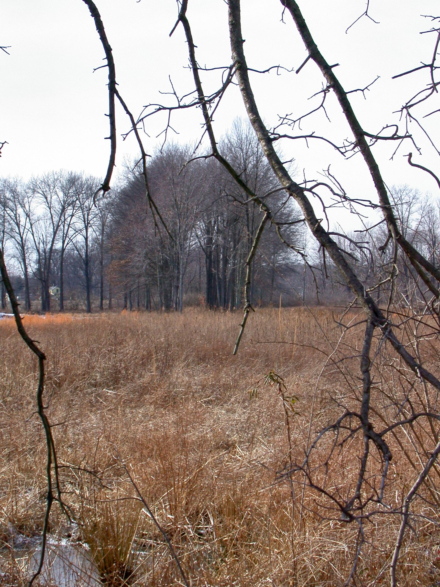 0058_Cincinnati_MilfordLoveland-32