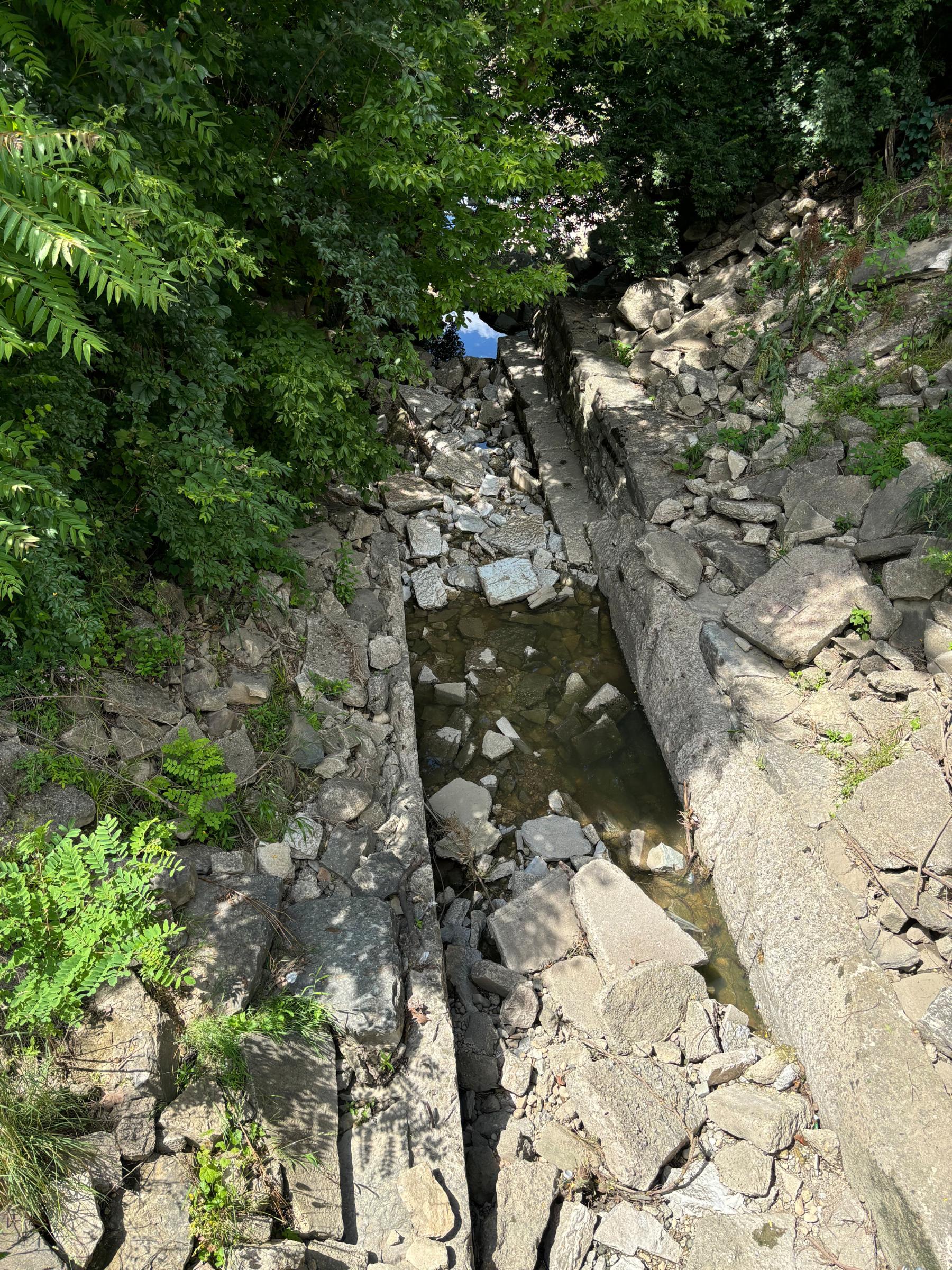 0248_IMG_3954