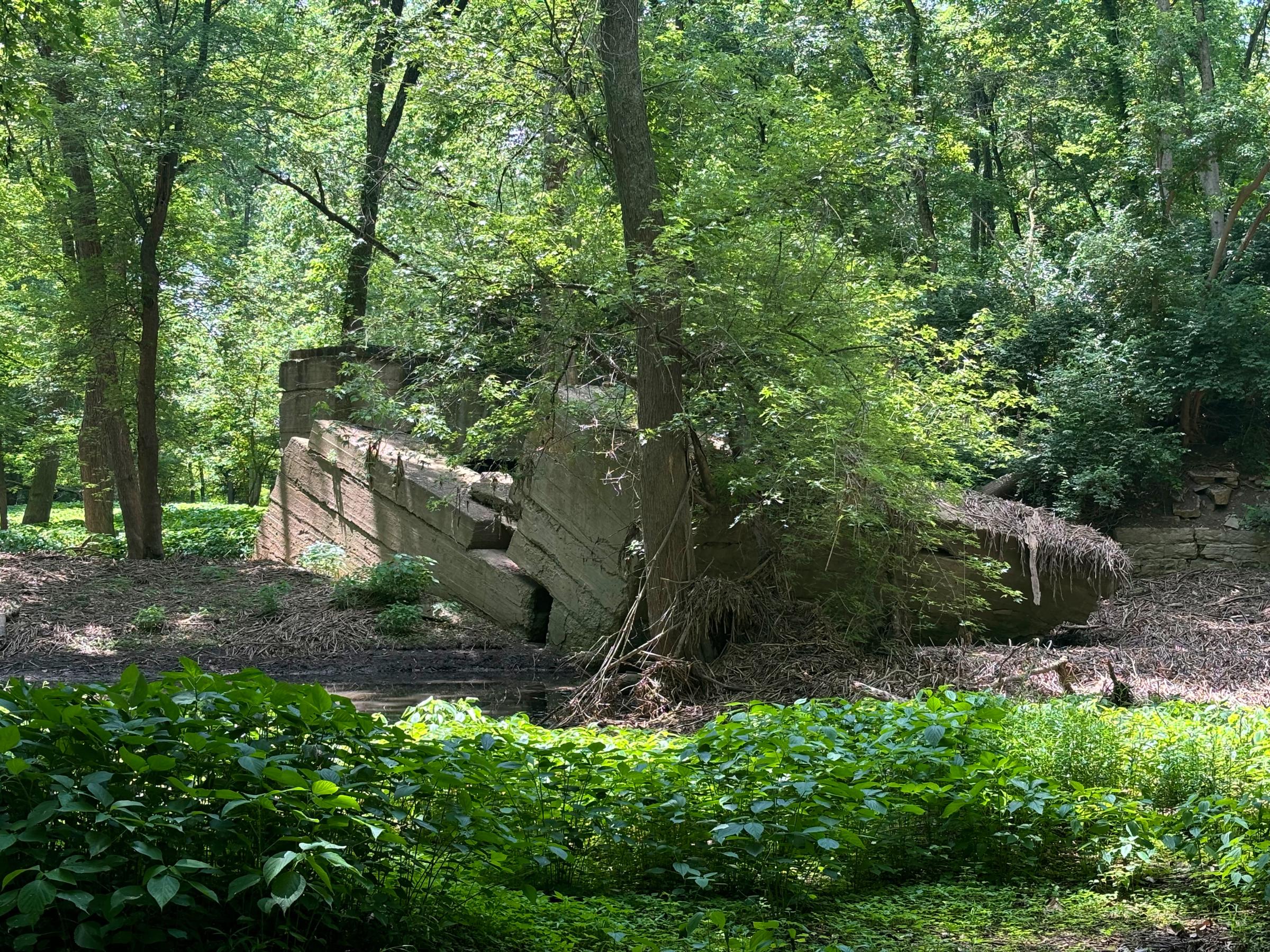 0274_IMG_3820
