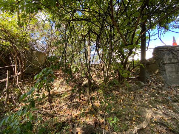 Remnants of the Miami & Erie Canal Sharonville Aqueduct near the I-75 & I-275 interchange and CDC Dubois Chemicals
