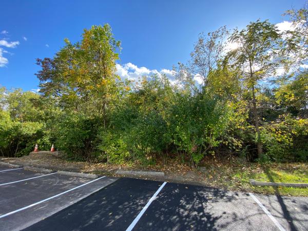 Remnants of the Miami & Erie Canal Sharonville Aqueduct near the I-75 & I-275 interchange and CDC Dubois Chemicals