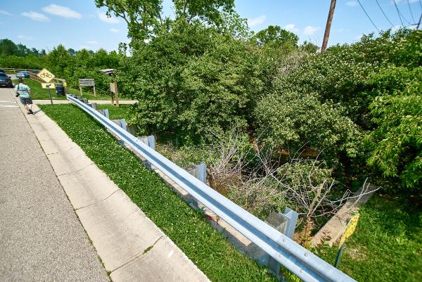 Remnants of the Miami & Erie Canal Firebird Drive and the Ellis Lake Wetlands in Fairfield/West Chester
