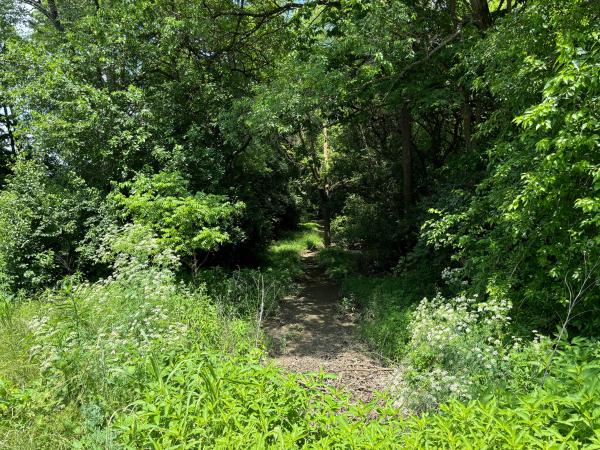 Miami & Erie Canal channel north of Fishburg Road