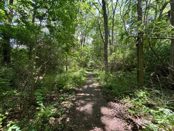 Miami & Erie Canal bed approaching the Taylorsville Dam and Great Miami River