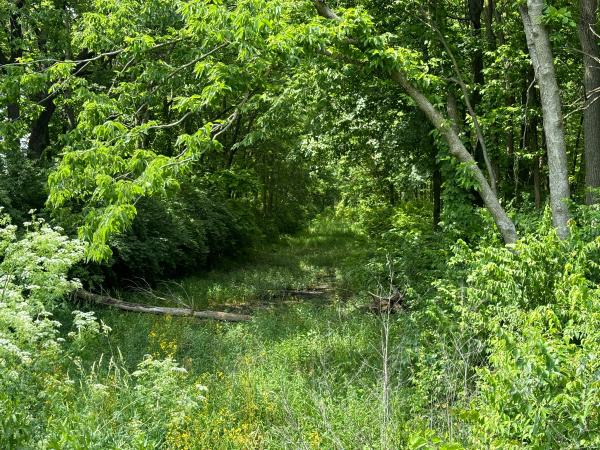 Miami & Erie Canal bed north of Tipp City near the DAP Products plant