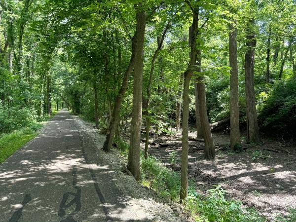 Miami & Erie Canal bed and the Great Miami River Recreational Trail on the towpath