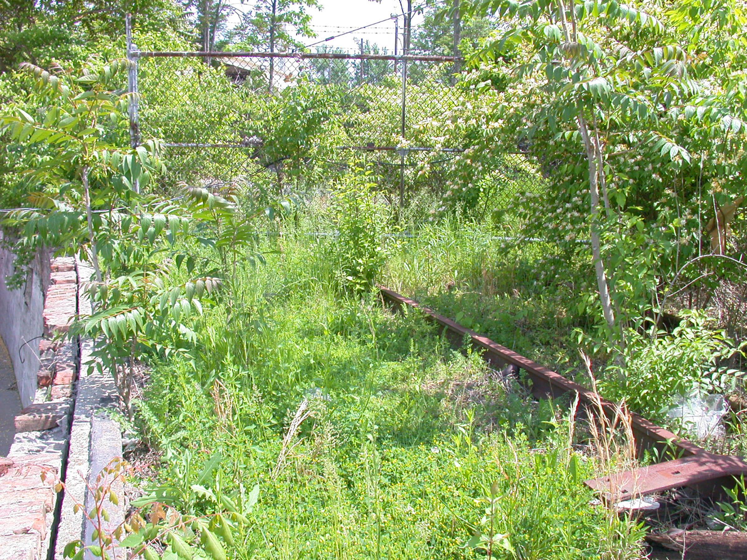 0025_NorfolkWestern-27