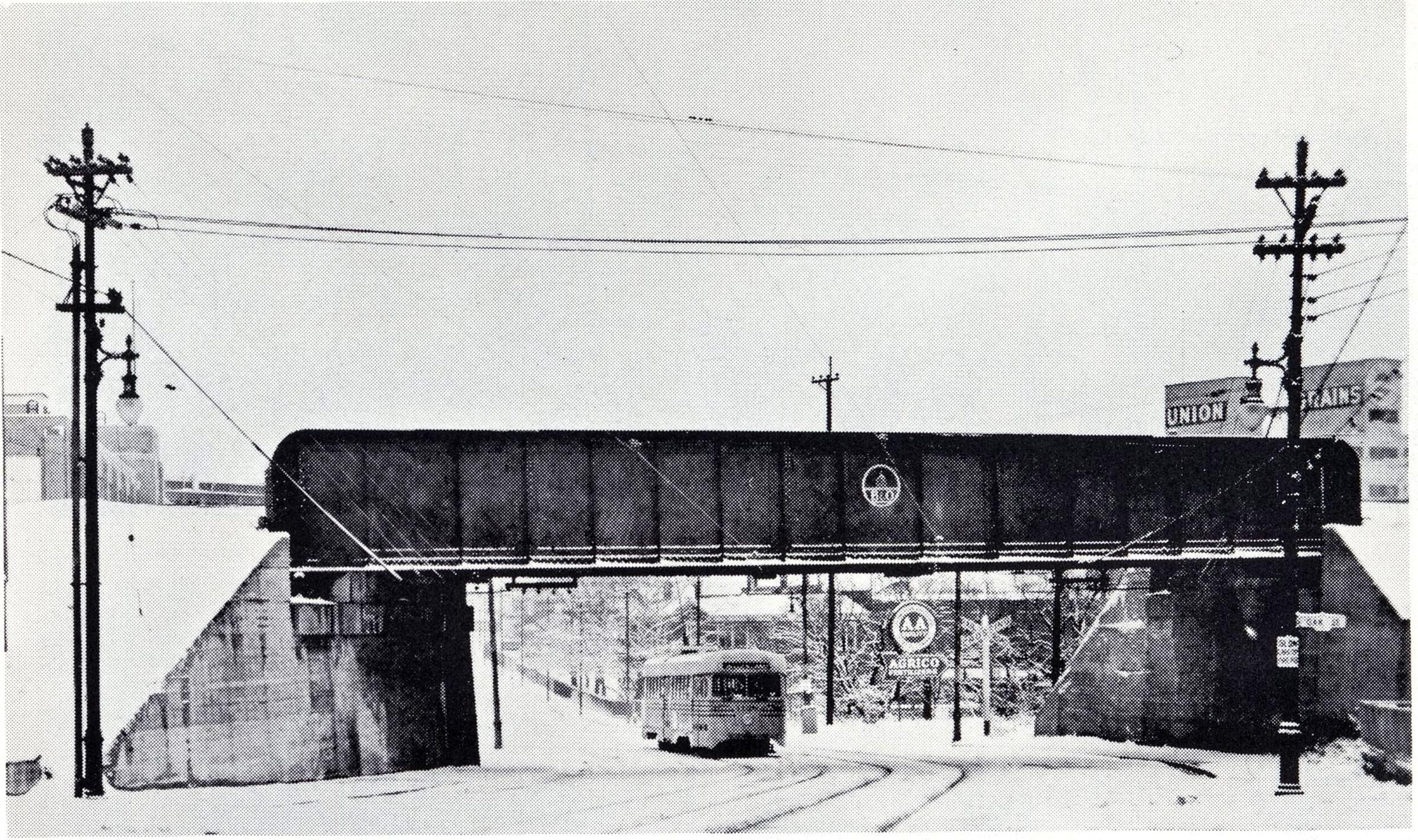 0012_vine_st_bernard_1940s