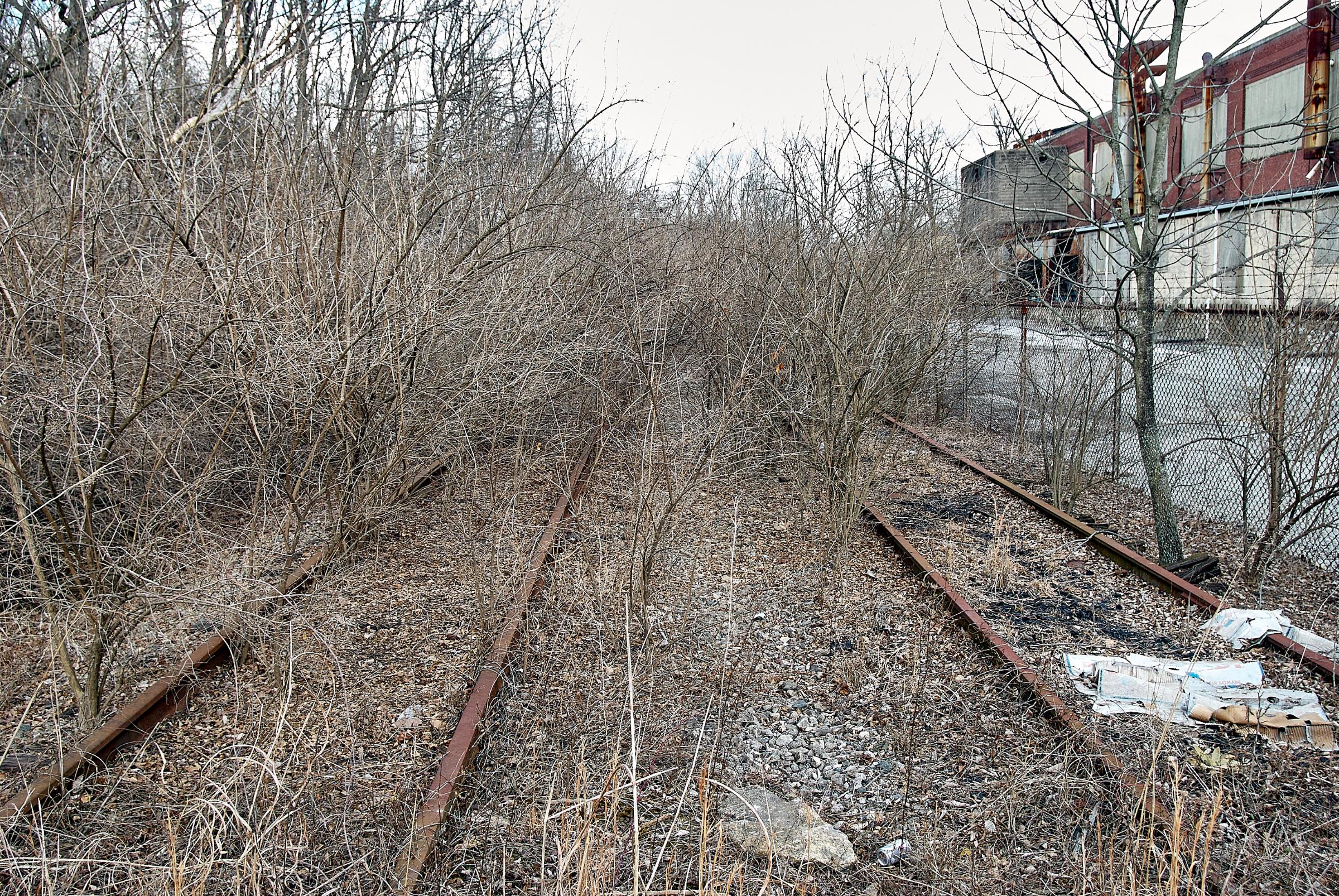0109_DSC_2375
