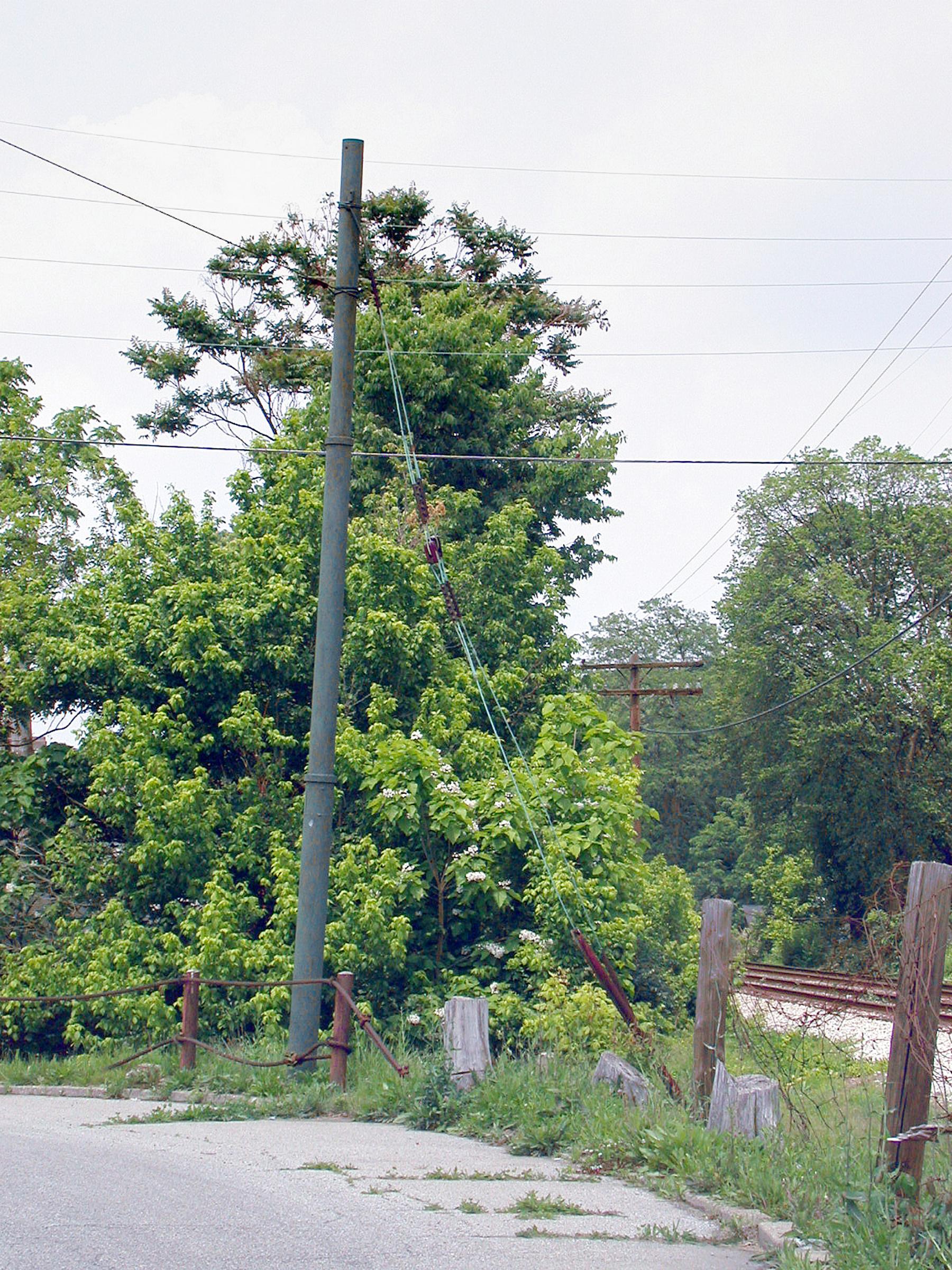 0038_TrolleyPoles-20