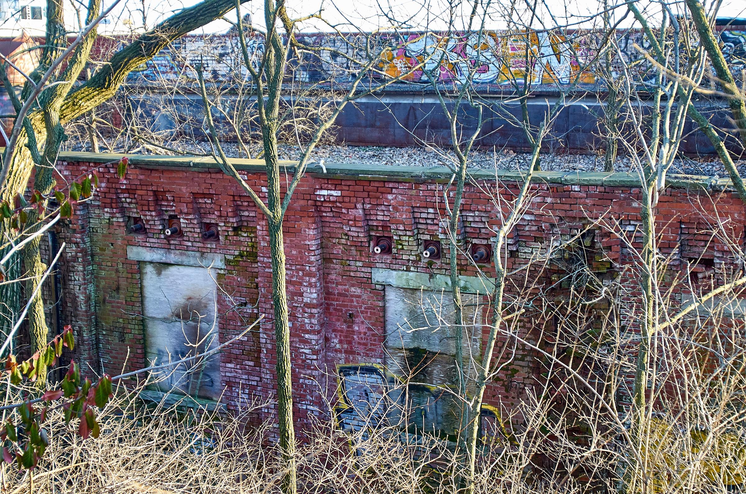 0017_DSC_0991